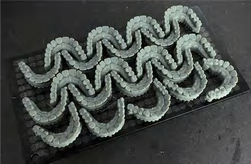 C1 Pro dental model print